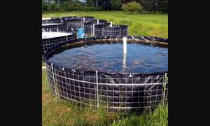 Revestimiento de estanque de Geomembrana de HDPE Espesor 0,75mm, 1mm, 1,5mm, 2mm Rollo de revestimiento de HDPE de Geomembrana de HDPE personalizado y moderno - Product Image 5