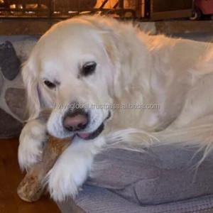 Natural Coffee Wood Chew Toys for <b>Dogs</b>, Durable Interactive <b>Dog</b> Toy for <b>Training</b> & Teeth Cleaning, Vietnam Manufacturer, ODM - Product Image 3