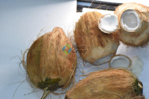 Poudre de noix de coco biologique - Product Image 4