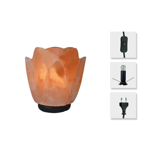 Lámparas de sal del Himalaya ecológicas de alta calidad, cabeza de caballo, forma de flor, estilo moderno hecho a mano, superventas, hecho en línea, Pakistán - Product Image 2