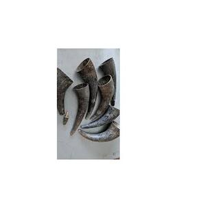 Corne en forme de cercueil, accessoires colorés à la main, pour boisson, taille personnalisée, prix bon marché, poli à la main - Product Image 1