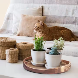 Plateau en bois polyvalent fait à la main pour l'affichage de service d'organisation par Crescent Crafts - Product Image 1