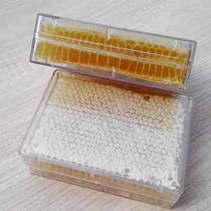 Miel de Sidr Silvestre 100% Pura y Natural, Suplemento Alimenticio Líquido de Alta Calidad en Envase PET |   Miel Orgánica con Empaque Personalizado al Mejor Precio - Product Image 5