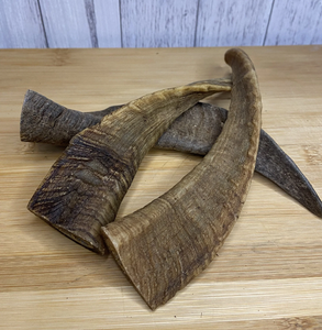 Corne de chèvre Shofar haute qualité véritable corne de chèvre naturelle polie vente chaude corne de chèvre Shofar - Product Image 1