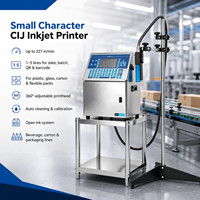 Machine de codage de date industrielle IPS CIJ pour la production de cartons et d'emballages souples sur convoyeur, faible entretien, impression