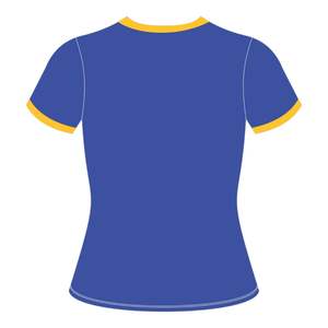 HBCU mujeres educadas Chenille contraste Trim Ringer camiseta azul con letras bordadas doradas algodón colegiado ropa griega - Product Image 3