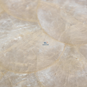 Vente chaude nacre forme ovale napperon assiette de table MOP au meilleur prix fabriqué au Vietnam, - Product Image 6