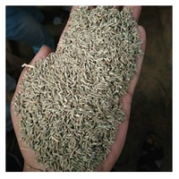 Graines de cumin séchées 100% naturelles – Épice entière pure pour usage culinaire, broyage et mélange