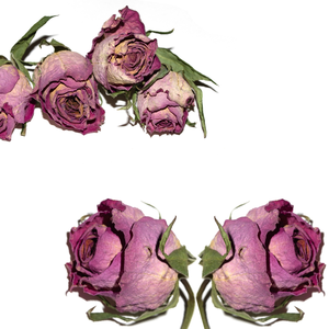 Handpicked Premium <b>Dried</b> Rose Petals | For Wedding & Event Decor - Product Image 1