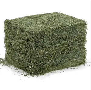 Foin laitier Alfafa de qualité supérieure pour l'alimentation des animaux Foin de cheval de qualité supérieure et alimentation animale - Product Image 3