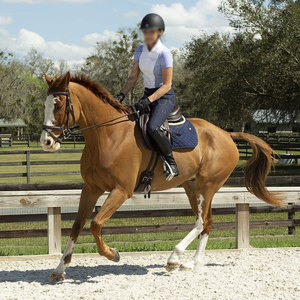 Ropa deportiva Venta caliente Camisas de equitación Servicio OEM Camisas de equitación de peso ligero para adultos - Product Image 4