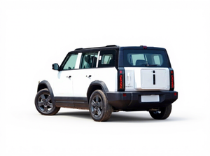 SUV Compacto 2024, Auto Eléctrico Puro, 401 km de Autonomía, Tracción en Dos Ruedas, Edición Avanzada con Volante a la Izquierda - Product Image 4