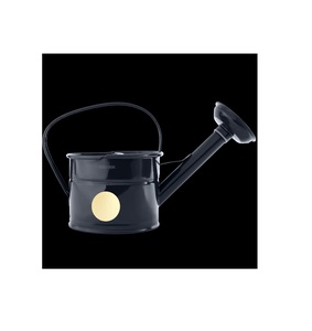 Bidon d'eau plaqué or de meilleure qualité fer métal nouveau Design forme personnalisée arrosoir pour la maison jardin utilisation quotidienne - Product Image 2