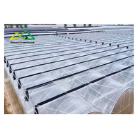 Meestverkochte multi-span enkellaags commerciële PE-constructie voor de helejaarse teelt van groenten en bloemen