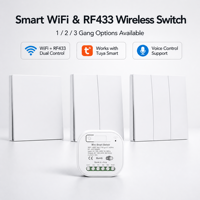 Interrupteur mural intelligent Tuya pour maison connectée, type C, WiFi, RF433, sans fil, bouton poussoir, contrôle vocal, compatible Alexa GoogleHome