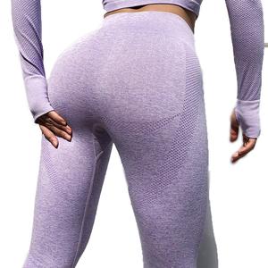 Ensemble 2 pièces-Mode féminine sans couture Gym Wear Women Workout Tracksuit Active Wear Gym Fitness Set - Product Image 5