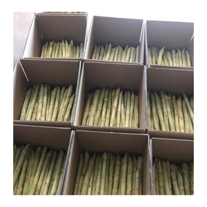 Trozos de caña de azúcar congelada pelada y lista para exportar caña de azúcar congelada ideal para cadenas de batidos en todo el mundo - Product Image 3