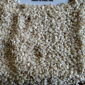 Graines de sésame décortiquées 99.5% Grade Eco Export Brand 25/50kg PP Bags - Product Image 1