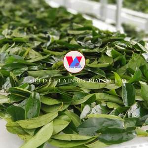 HOJAS SECAS NATURALES DE VIETNAM PARA HACER TÉ, CALIDAD 100% PARA SU SALUD, BUENAS PARA DETOX - Product Image 4