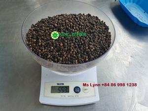 Pimienta negra seca de Vietnam inspeccionada por Phalco JSC, buen precio para productos procesados crudos de forma redonda - Product Image 3