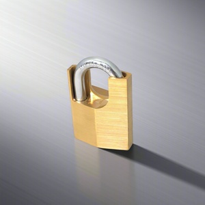 Candado de Latón Macizo Tipo D de Doble Palanca, Ecológico, Seguro, Impermeable IP65, Antirrobo, con 3 Llaves - Product Image 1