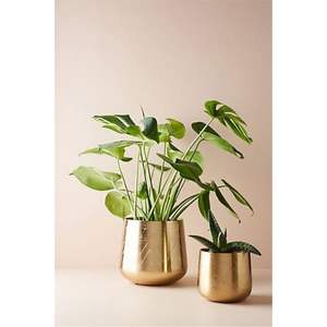 Ensemble de 2 jardinières en métal doré avec supports hauts, texture martelée, pots décoratifs en fer, décoration intérieure commerciale haut de gamme - Product Image 4