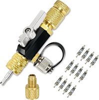 Outil d'installation et de retrait de valve de climatisation et de réfrigération, double taille 1/4 SAE Schrader 5/16 po, extracteur de noyau à port latéral en acier inoxydable