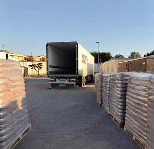 Pellets de Madera Absorbentes Naturales Sin Grumos - Product Image 2