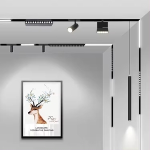ระบบไฟ LED แบบโรตารี่แม่เหล็กสีดำ6W พร้อมตัวเครื่องอลูมิเนียม COB 48V IP22รางสปอตไลท์สำนักงาน - Product Image 6