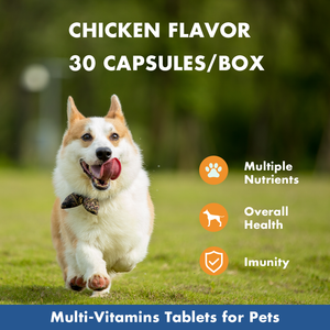 Comprimés à mâcher pour la croissance musculaire OEM ODM, chiots, chiens adultes, chiots, vitamines pour chiens, compléments alimentaires, croissance musculaire, croissance ultime canine - Product Image 3