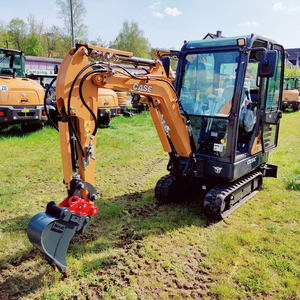 Mini-excavatrice sur chenilles CASE CX19C à vendre - Product Image 1