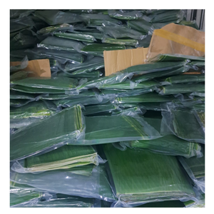 Feuille de bananier élégante du Vietnam, feuille de bananier fraîche écologique pour servir la nourriture, enveloppement naturel, facile à utiliser pour les cuisines à la mode - Product Image 5