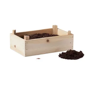 Kit Educativo Ecológico para Cultivar Fresas, Gadgets para Aprender Sobre la Vida de las Plantas - Product Image 4
