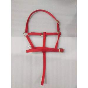 BLUHORSE-Cabestro de Potro con lazo de nailon para caballos pequeños, opciones multicolores duraderas y cómodas, venta al por mayor - Product Image 1
