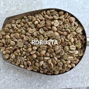 Granos de café Robusta de Vietnam Premium, aroma fuerte, sabor amargo audaz, Crudo y tostado a granel a precio competitivo - Product Image 1
