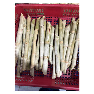 Les meilleures ventes de produits de canne à sucre congelés - Product Image 6