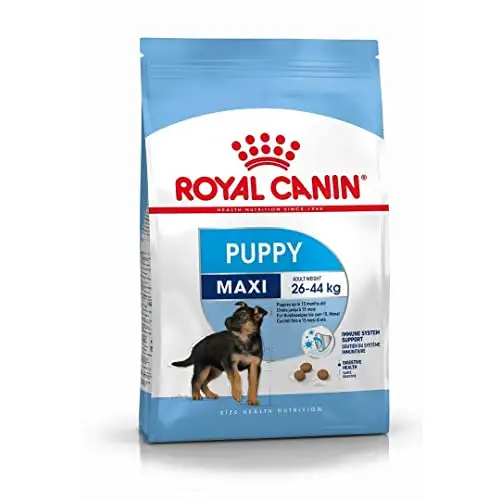 Europäisches Royal Canin Essen