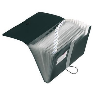 Herlitz Easy Orga to Go <b>Expanding</b> File DIN A4 Polypropylene Black 12 Compartments - Product Image 1