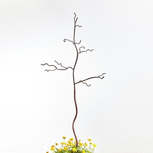 Bâton de jardin en métal durable Support et décoration pour plantes résistant à la rouille Installation facile Utilisation intérieure et extérieure Parfait pour le jardinage - Product Image 5