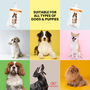 Champú para Perros Anipro Natural Sulphur de Primera Calidad, Formulado para Apoyar la Comodidad de la Piel y Prevenir la Irritación Cutánea Recurrente - Product Image 4