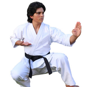 Uniforme de Kimono blanco de Judo Gi de alta calidad para Judo y Karate de alta calidad para ambos deportes Judo Gis Productos más vendidos - Product Image 5