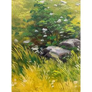 Dipinti a olio 100% fatti a mano 23.5 di un campo classico paesaggio x 35.5 pollici primavera scenario da mastro artisti - Product Image 5