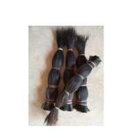 FAIZA CRAFT Poils de queue de cheval naturels de haute qualité, bruts et secs, pour la fabrication de brosses, extrait animal, emballage sûr, décoration intérieure