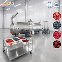 Machine de lyophilisation en acier inoxydable à économie d'énergie pour fraises, bleuets, framboises et cerises