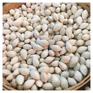 Nueces de ginkgo de calidad secas al mejor precio en venta al por mayor - Product Image 2