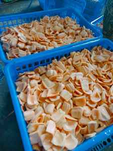 YACKFRUTA AMARILLA CONGELADA IQF DE VIETNAM - Product Image 4