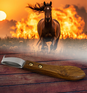 Herramientas de herrador de alta calidad, cuchillo de bucle de acero grande, limpieza y recorte de pezuñas de caballo, mango de madera multiusos antideslizante - Product Image 4