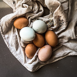 Fresh Farm Table <b>Eggs</b> Wholesale Natural Organic Brown and White Chicken <b>Eggs</b> Daily - Product Image 2