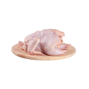 Compre pollo entero congelado Halal de primera calidad / pollo entero congelado en venta - Product Image 1