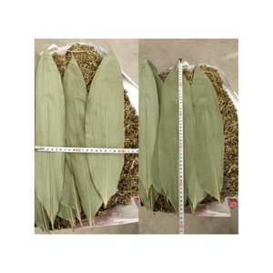 Vente en gros de sushi naturel de grande taille de 9cm de haut plat de nourriture Hoba feuilles de bambou vertes séchées et fraîches - Product Image 6